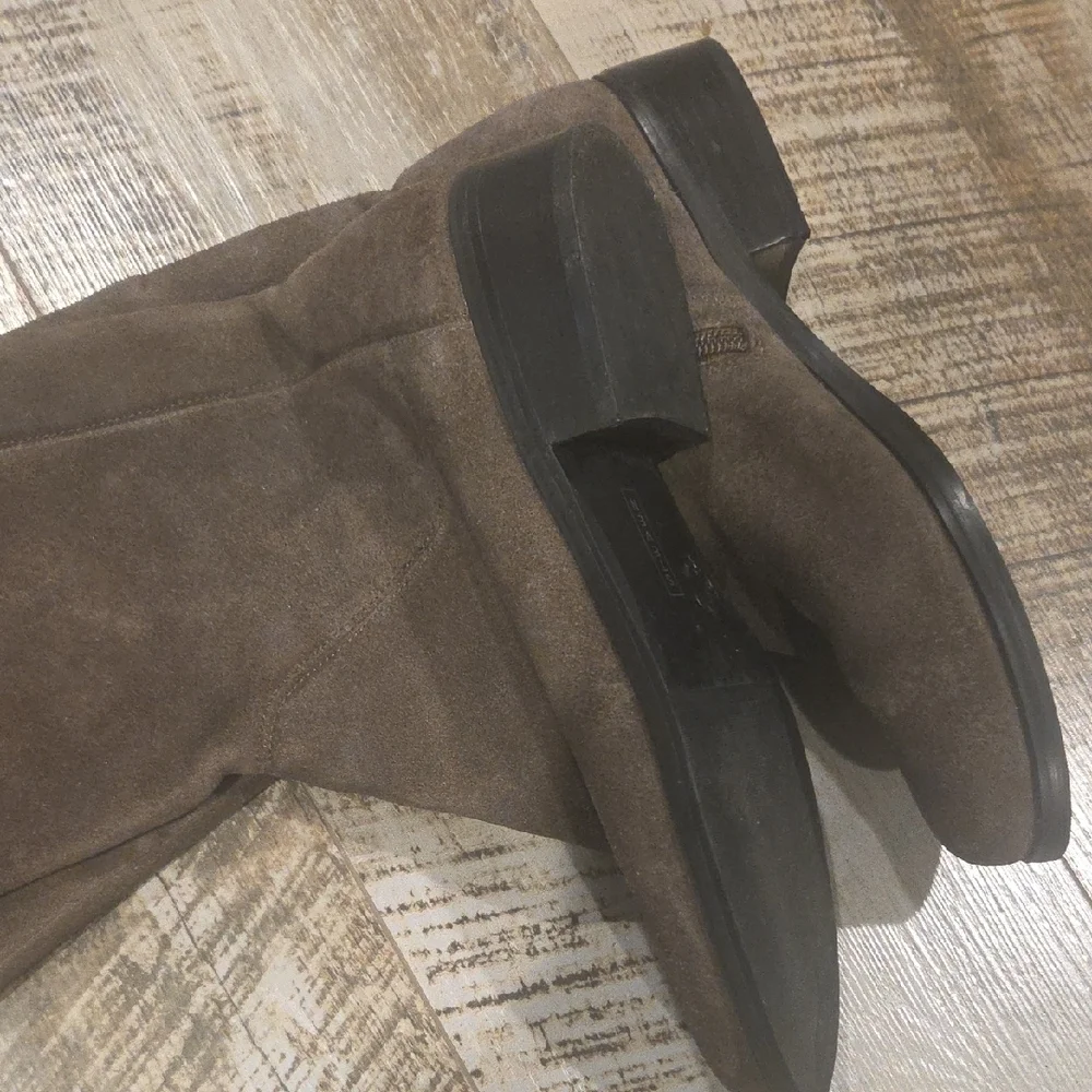 Steven By Steve Madden stylish tan